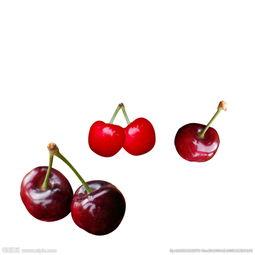 迷你国产小樱桃图片视频,萌态可掬，魅力无限