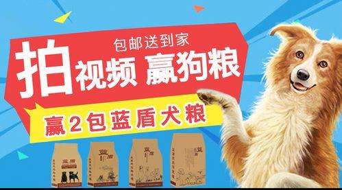 国产嘉狗粮视频,品质生活，宠爱有加