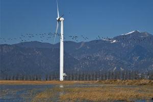 国产综合视频区,精彩纷呈的视听盛宴