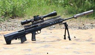 中国国产步枪有哪些视频,中国自主研制枪械视频集锦