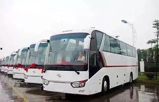 国产最牛大巴车视频大全,国产巨无霸！揭秘最牛大巴车视频大全