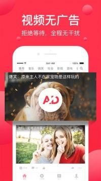 国产丧尸片西瓜视频