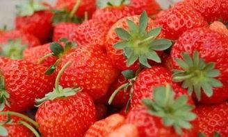 国产草莓视频儿童女孩,国产草莓视频中的甜美童年