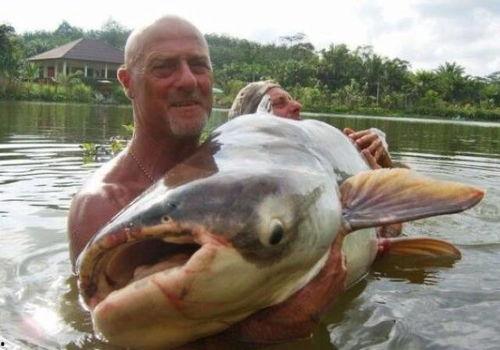 国产大鲶鱼视频大全下载,探寻水下奇观之美