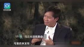 雷军谈国产原视频,国产原视频的崛起与未来