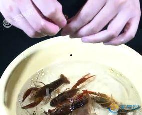 国产龙虾做法视频